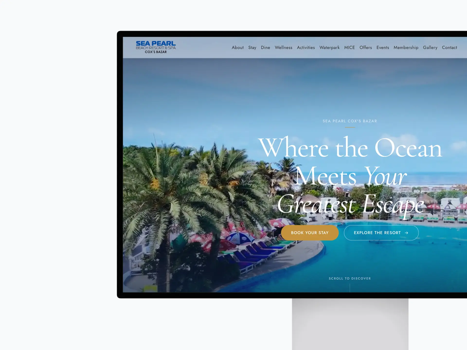 Website Design and Development
